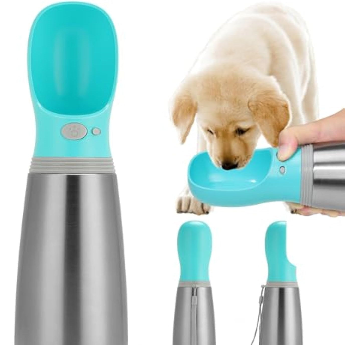 PawLucky Pet Travel & Outdoor Gear for Dogs & Cats